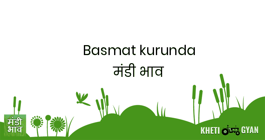 Basmat(Kurunda) मंडी भाव की ताज़ा तस्वीर
